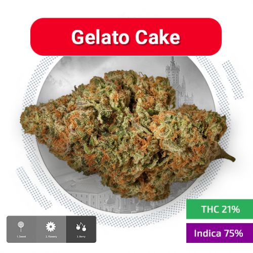 Gelato Cake