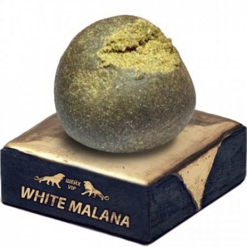 [ШЕЙХ] Malana White