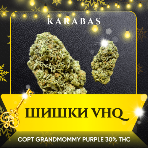 Grandmommy Purple