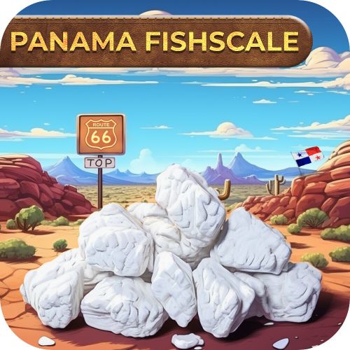 PANAMA FISHSCALE