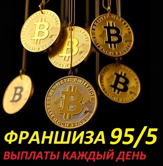 💰ФРАНШИЗА 95% ВАШИ