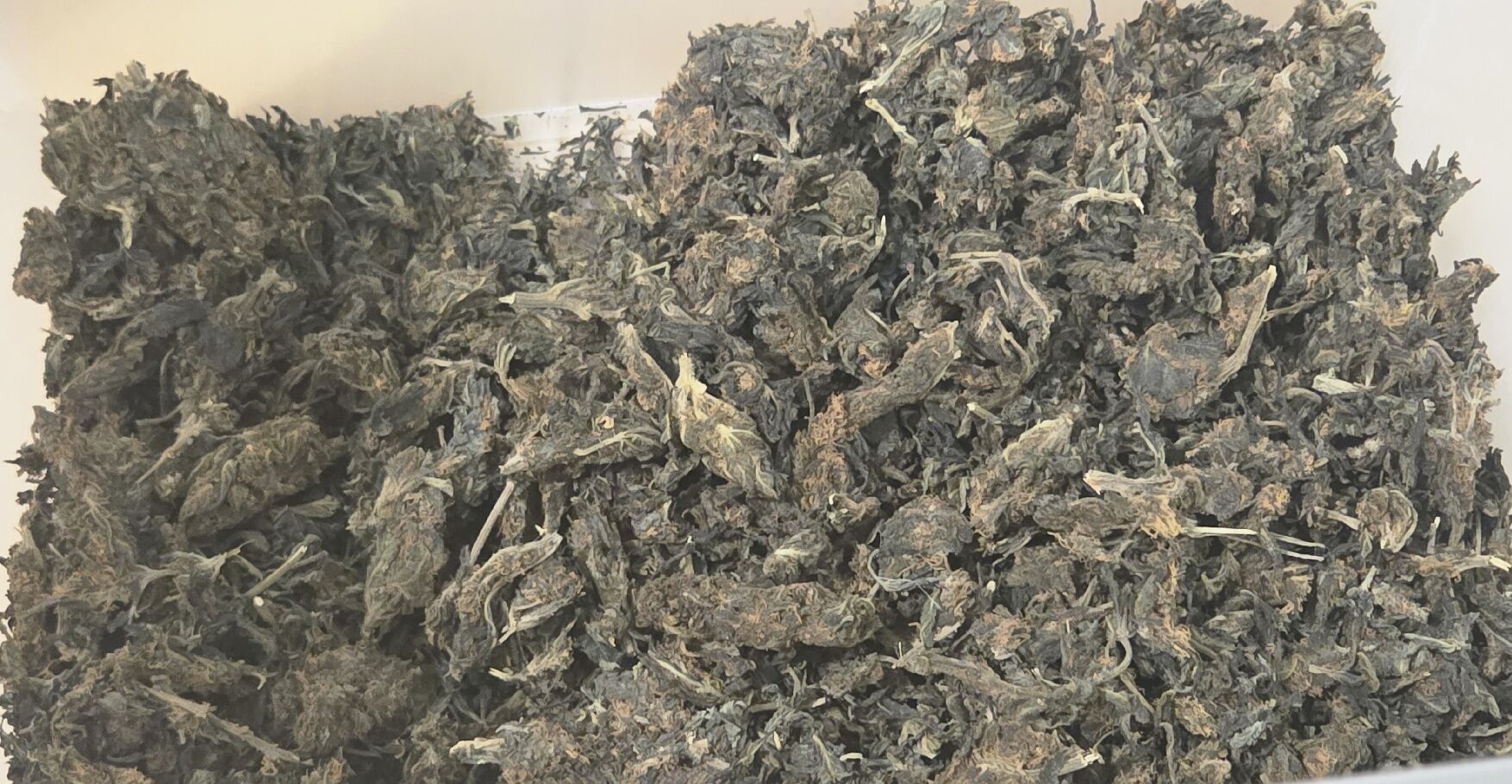 ШИШКА(80%) ПЛАН(20%)