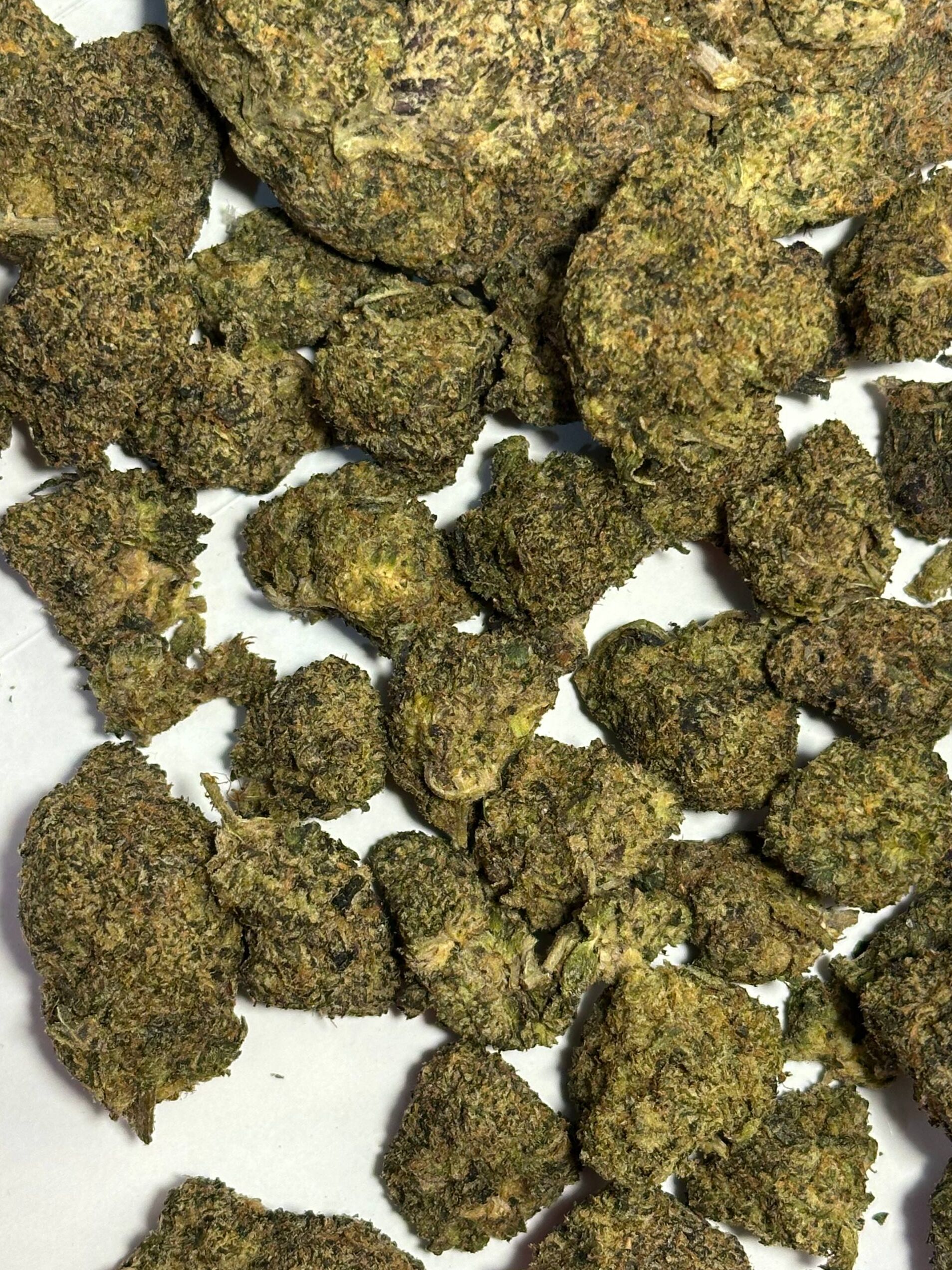 Monkey Kush