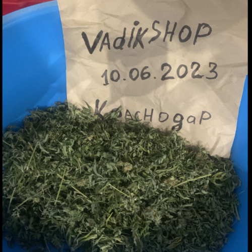 Забористый план
