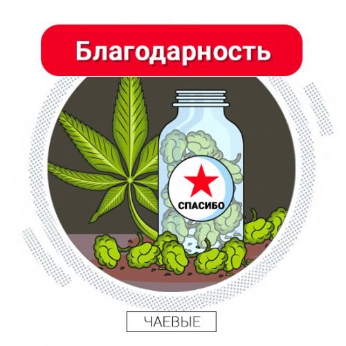 Чаевые