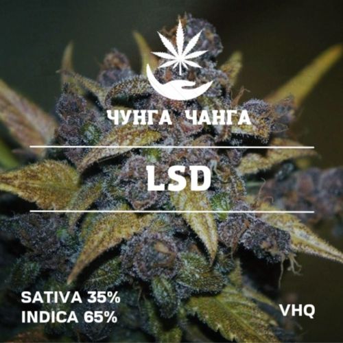 LSD
