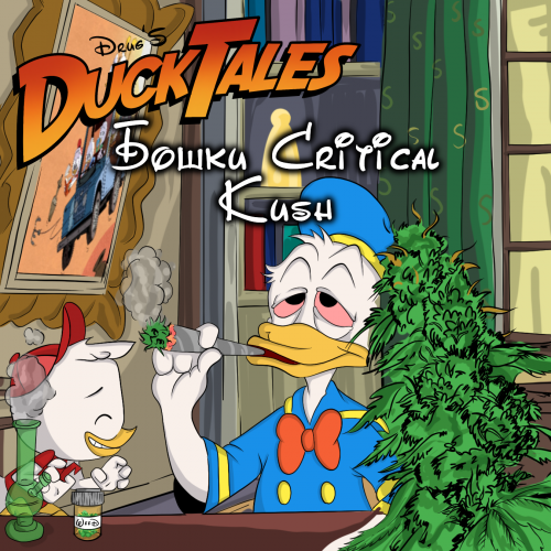 Бошки Critical Kush