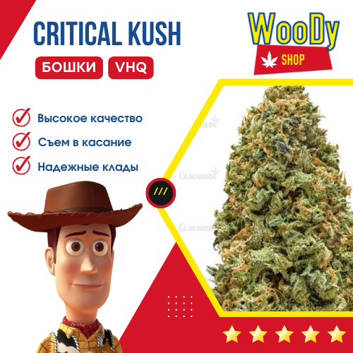 Critical Kush