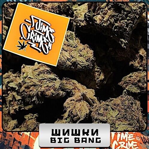 Шишки Big Bang