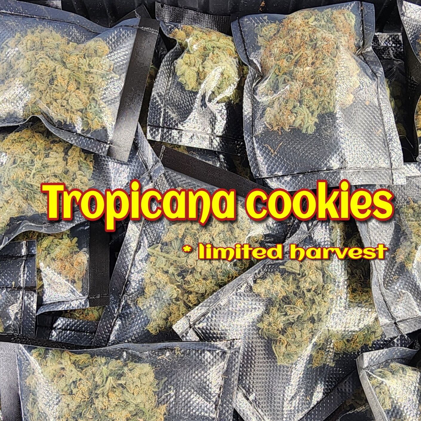 Tropicana cookies