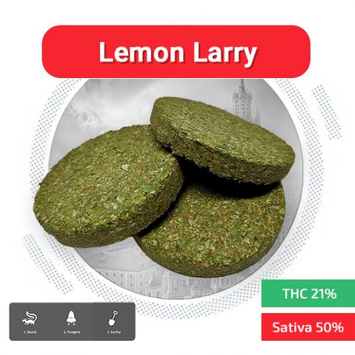 Lemon Larry