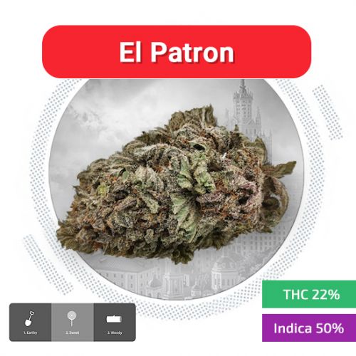 El Patron